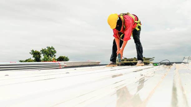 Best Roof Coating and Sealing  in Hamilton City, CA